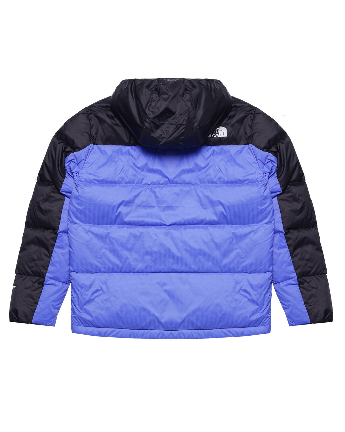 Light blue hot sale north face